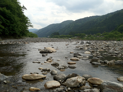 20120603柳川裏 20120603柳川裏